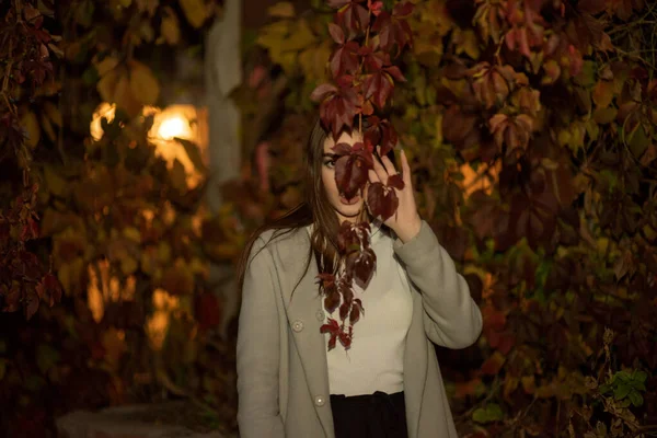 Elegantní Mladá hezká dívka v šedém kabátě hledí na kameru a lehce se usmívá na pozadí města. — Stock fotografie