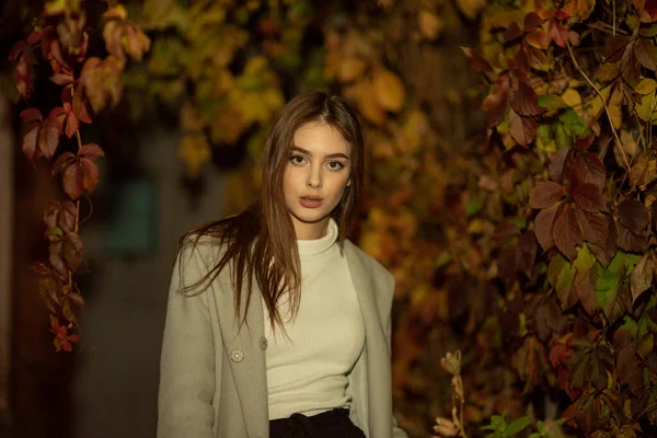 Snygg ung vacker flicka i en grå kappa tittar på kameran och ler något mot bakgrunden av staden. — Stockfoto