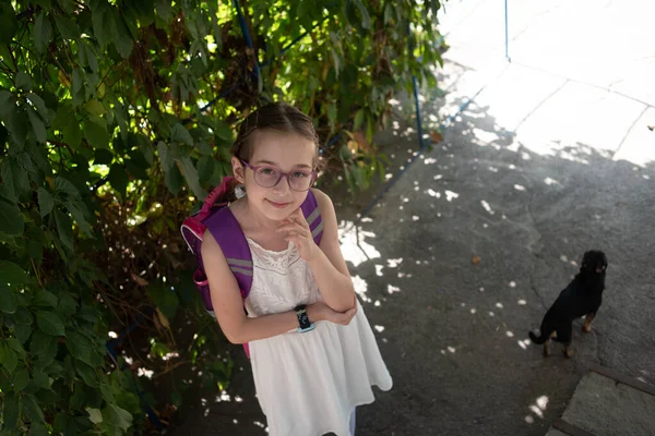 紫のリュックサックと紫の眼鏡をかけた女子高生。秋に眼鏡をかけて白いドレスを着た女の子. — ストック写真
