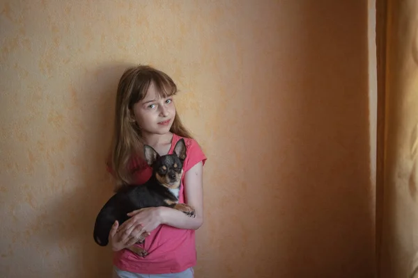 子供女の子が小さな犬黒い毛チワワ犬と遊ぶ — ストック写真