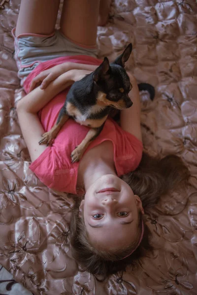Dítě dívka hraje s malou pes černý chlupatý čivava pejsek — Stock fotografie