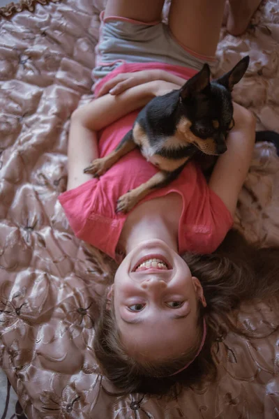 Child girl plays with little dog black hairy chihuahua doggy — Stock Photo, Image