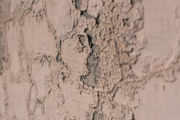 Cracks of dry color white texture ,Old wood wall And there are color plates that are peeling off. — Stock Photo, Image