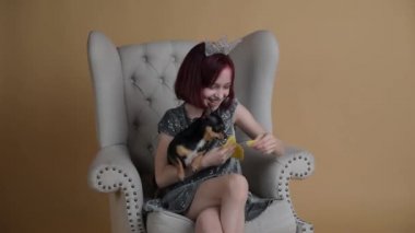 Çivava. Küçük bir kızla bir Chihuahua köpeğinin yeni yıl fotoğrafı. 9 yaşındaki bir kız ve chihuahua peynirli Black mini chihuahua yer. Noel zamanı. Köpekli bir kız sandalyede oturuyor..