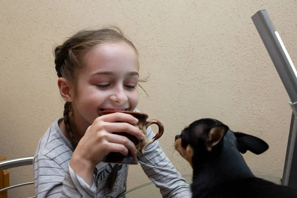 Śliczna uśmiechnięta dziewczyna. Jej pies Chihuahua pozuje w pobliżu. Dziewczyna i chihuahua przy stole. — Zdjęcie stockowe