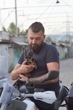 Küçük bir köpek insan eliyle pençesine dokunuyor. Erkek bir motorcunun kollarında Chihuahua köpeği. Köpeğiyle motosikletin yanında duran bir adam.