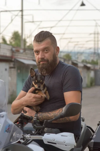 Маленький собака торкається своєї лапи людською рукою. Пес чіхуахуа стоїть на руках велосипедиста. Чоловік біля мотоцикла зі своїм собакою. — стокове фото