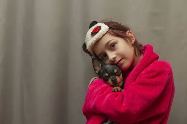 Adorable little girl holding chihuahua puppy standing and looking up