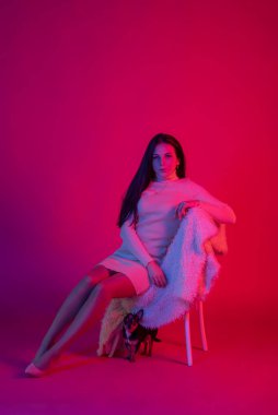 Dolgun doğal dudakları olan muhteşem bir esmer. Stüdyoda renkli filtrelerle çekilmiş bir model. Chihuahua köpeğiyle poz veren bir kız.