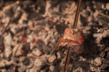 Barbeküde ızgara lezzetli yemeklere yakın çekim. Doğada lezzetli şiş kebap pişirme süreci. Lezzetli yemek.