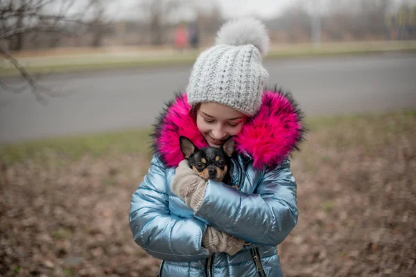 Ein kleiner Chihuahua liegt in den Armen seines Besitzers. Schulkind in Winterkleidung auf der Straße. Mädchen 9 Jahre alt. — Stockfoto