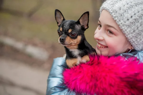 Un piccolo chihuahua giace tra le braccia del suo padrone. Bambino della scuola in abiti invernali per strada. Ragazza 9 anni . — Foto Stock