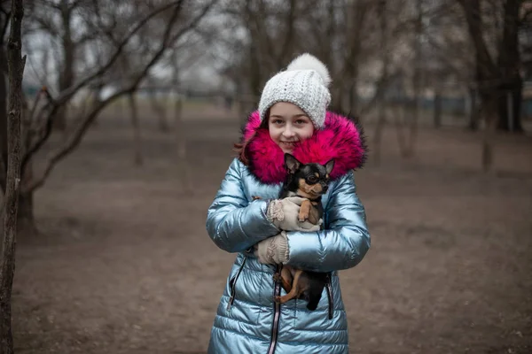 Un chihuahua mic este de stabilire în brațele proprietarului său. Copil de școală în haine de iarnă pe stradă. Fata de 9 ani . — Fotografie, imagine de stoc