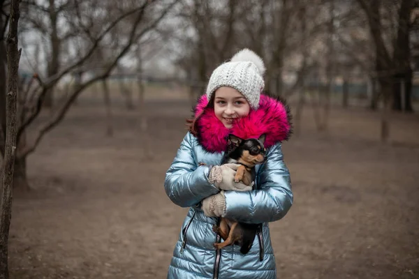 Mały Chihuahua leży w ramionach swojego właściciela. Uczennica w zimowych ciuchach na ulicy. Dziewczyna w wieku 9 lat. — Zdjęcie stockowe