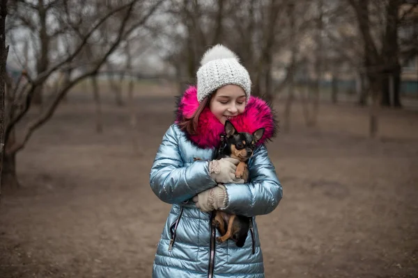 Um pequeno chihuahua está deitado nos braços do seu dono. Criança escolar em roupas de inverno na rua. Menina 9 anos . — Fotografia de Stock