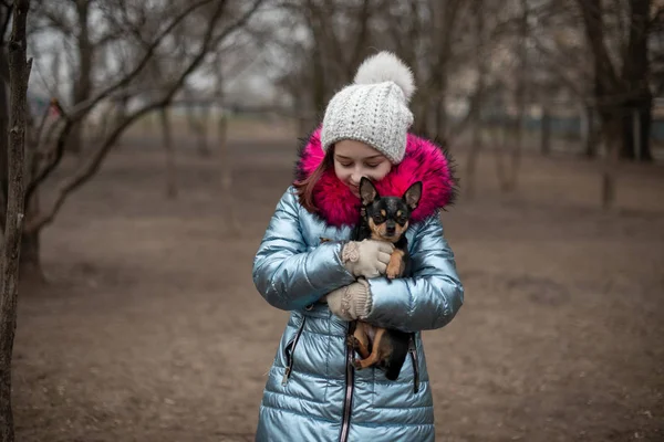 Ein kleiner Chihuahua liegt in den Armen seines Besitzers. Schulkind in Winterkleidung auf der Straße. Mädchen 9 Jahre alt. — Stockfoto