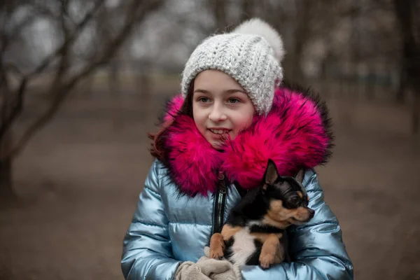 Um pequeno chihuahua está deitado nos braços do seu dono. Criança escolar em roupas de inverno na rua. Menina 9 anos . — Fotografia de Stock
