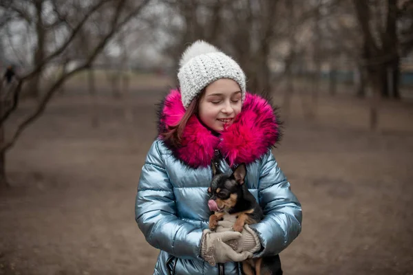 Malý čivava leží v náručí svého majitele. Školák v zimním oblečení na ulici. Dívka 9 let. — Stock fotografie