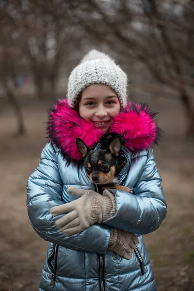 Un piccolo chihuahua giace tra le braccia del suo padrone. Bambino della scuola in abiti invernali per strada. Ragazza 9 anni . — Foto Stock