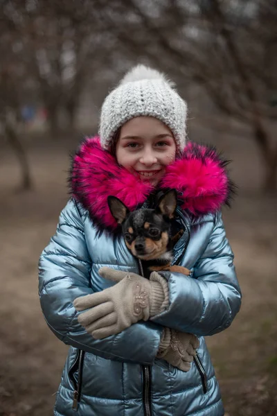 Um pequeno chihuahua está deitado nos braços do seu dono. Criança escolar em roupas de inverno na rua. Menina 9 anos . — Fotografia de Stock