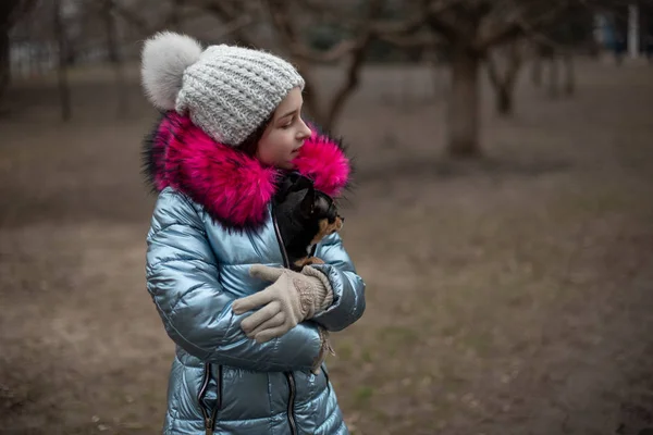Un chihuahua mic este de stabilire în brațele proprietarului său. Copil de școală în haine de iarnă pe stradă. Fata de 9 ani . — Fotografie, imagine de stoc