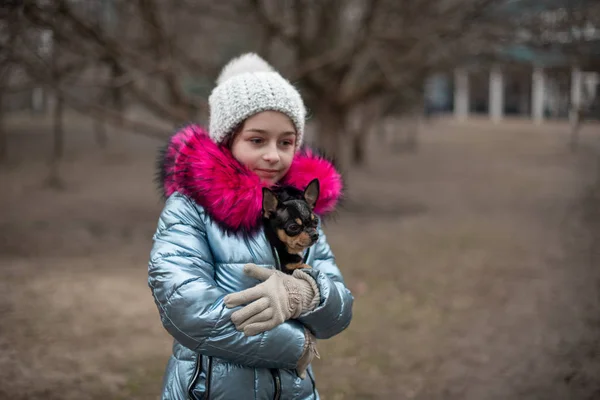 Un chihuahua mic este de stabilire în brațele proprietarului său. Copil de școală în haine de iarnă pe stradă. Fata de 9 ani . — Fotografie, imagine de stoc