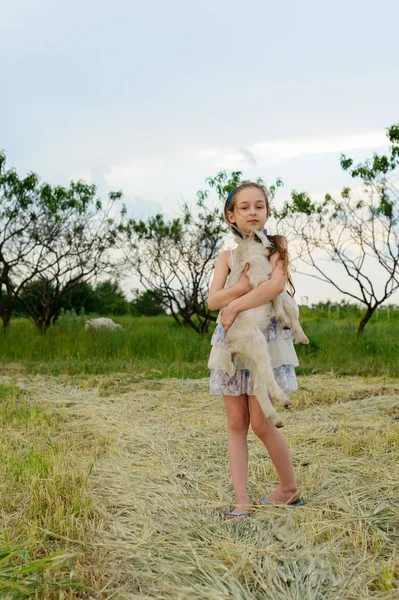 Chica con cabra bebé en la granja al aire libre. Animales del pueblo. feliz niño abraza cabra, concepto de unidad de la naturaleza y el hombre . — Foto de Stock