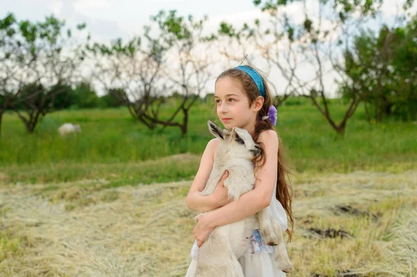 Girl with baby goat on farm outdoors. Village animals. happy child hugs goat, concept of unity of nature and man. — Stock Photo, Image