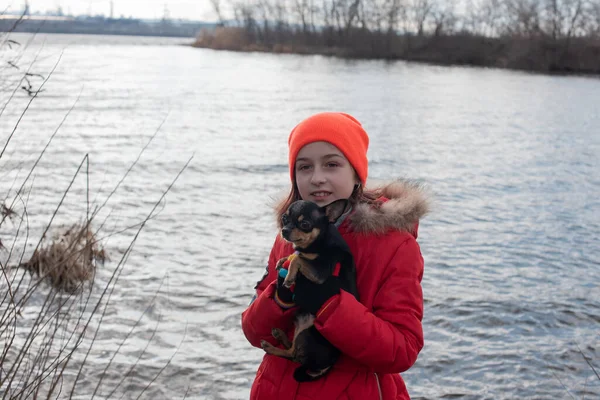 Маленька собака чихуахуа нагрівається під курткою коханки.Дівчині 9 років в зимовій куртці на фоні річки — стокове фото