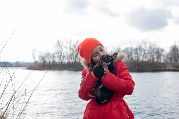 Small chihuahua dog is heated under the mistress's jacket.Girl 9 years old in a winter jacket on a background of a river