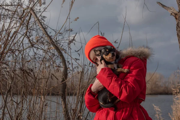 Hanımefendinin ceketinin altında küçük bir chihuahua köpeği ısıtılıyor. 9 yaşındaki bir kız nehir kenarında ceketli. — Stok fotoğraf