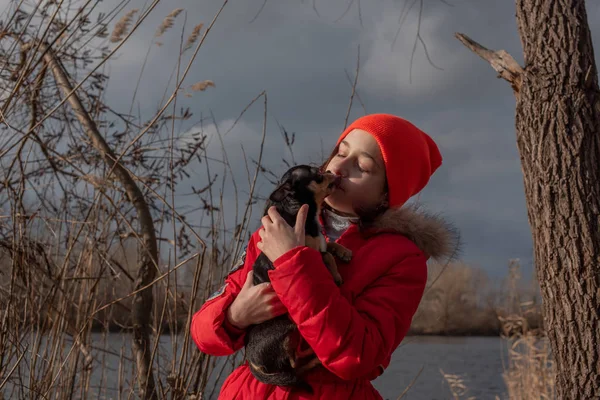 Liten chihuahua hund värms under älskarinnans jacka.Flicka 9 år gammal i en vinterjacka på en bakgrund av en flod — Stockfoto