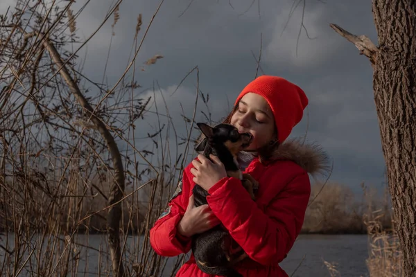 Liten chihuahua hund värms under älskarinnans jacka.Flicka 9 år gammal i en vinterjacka på en bakgrund av en flod — Stockfoto