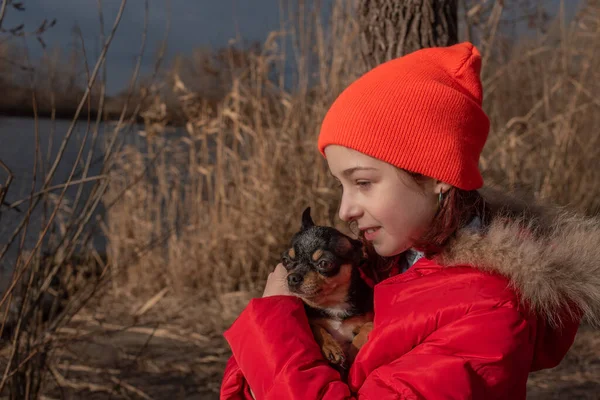 Câinele mic chihuahua este încălzit sub jacheta amantei. Fata de 9 ani într-o jachetă de iarnă pe fundalul unui râu — Fotografie, imagine de stoc