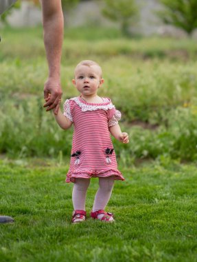Küçük çocuk 1 yaşında bir kız çocuğu gidiyor. Baba çocukla birlikte yeşil çimlerin üzerinde yürür. Bebek yürümeyi öğreniyor.