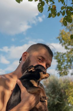 İnsan ve chihuahua. Sakallı bir adam küçük bir köpek cinsi olan Chihuahua 'ya sarılır. Chihuahua..