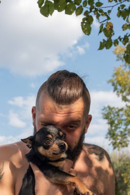 İnsan ve chihuahua. Sakallı bir adam küçük bir köpek cinsi olan Chihuahua 'ya sarılır. Chihuahua..