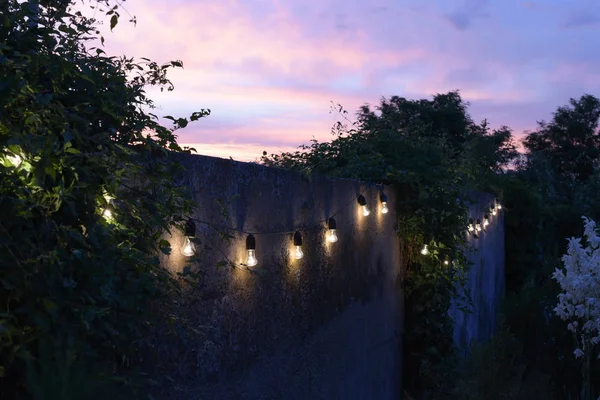 trendy globe string lights outdoor hanging from trees in private garden with fence and greenery in the background. Light bulbs on the fence and greenery