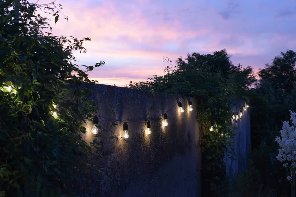 trendy globe string lights outdoor hanging from trees in private garden with fence and greenery in the background. Light bulbs on the fence and greenery