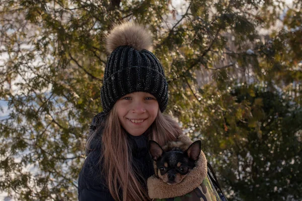 Liten Chihuahua Hund Värms Älskarinnans Jacka Flicka Vinterjacka Och Chihuahua — Stockfoto