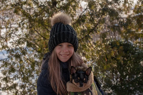 Liten Chihuahua Hund Värms Älskarinnans Jacka Flicka Vinterjacka Och Chihuahua — Stockfoto