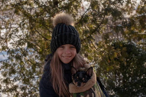 Mały Pies Chihuahua Jest Podgrzewany Pod Kurtkę Kochanki Dziewczyna Zimowej — Zdjęcie stockowe