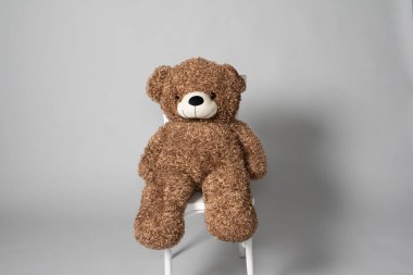 Oyuncak ayı. Gri arka planda kahverengi ayıcık. Bar taburesinde fotoğraf stüdyosunda pofuduk kahverengi bir fotoğraf. Bir oyuncak. Çocukluk.