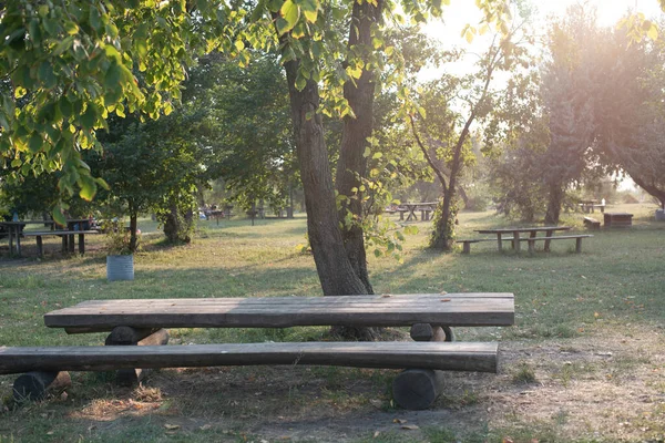 花园的木制长椅隔离在绿色的草地上 木制桌子和长椅的性质 大自然 野餐是与家人或朋友一起放松的时候 — 图库照片