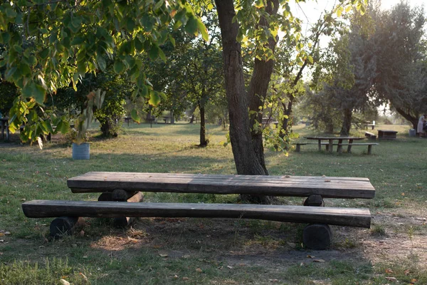 Garden Wooden Bench Isolated Green Meadows Wooden Table Bench Nature — Stock Photo, Image