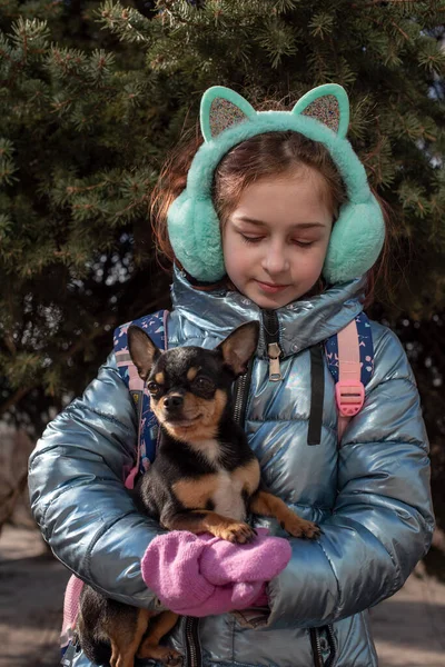 Chihuahua Mic Este Stabilire Brațele Proprietarului Său Copil Școală Haine — Fotografie, imagine de stoc