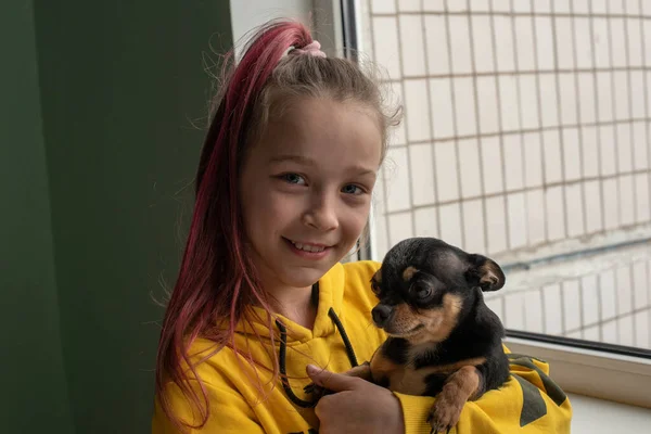 Liten Flicka Med Chihuahua Flicka Som Håller Chihuahua Flicka Med — Stockfoto