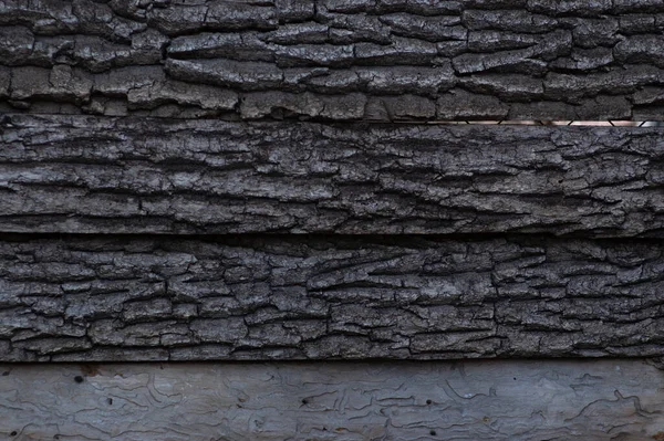树皮的质感 木树皮纹理 光天化日之下的一部分树 设计师的发票 树及其结构树皮质感 设计师的发票 董事会 — 图库照片
