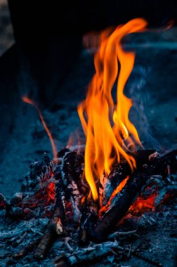 Izgara yap. Şenlik ateşi barbekü doğası. Izgarada şenlik ateşi pişiyor. Ormanda piknik yapmak. Yaz tatilinde yaz ormanında