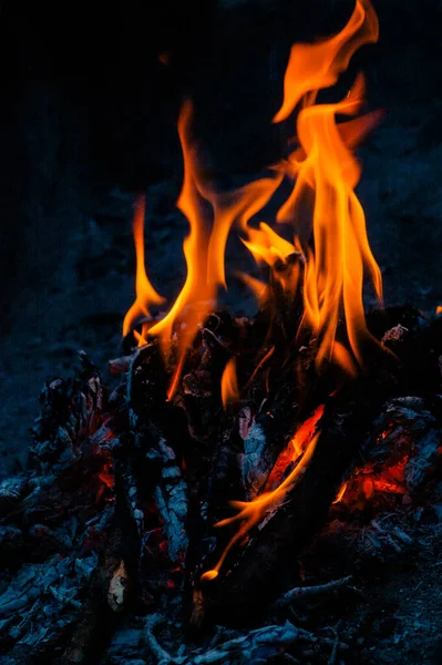 グリル たき火バーベキューの性質 グリルでたき火の料理 森の中でピクニックリラックス 夏の森での夏休み — ストック写真